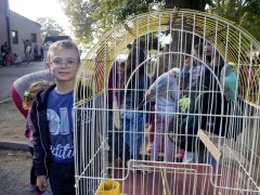 IMG_20171004_131407.jpg